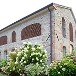 Отель Hotel Asolo 3*